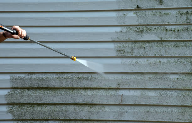 Best Solar Panel Cleaning  in Dudley, NC